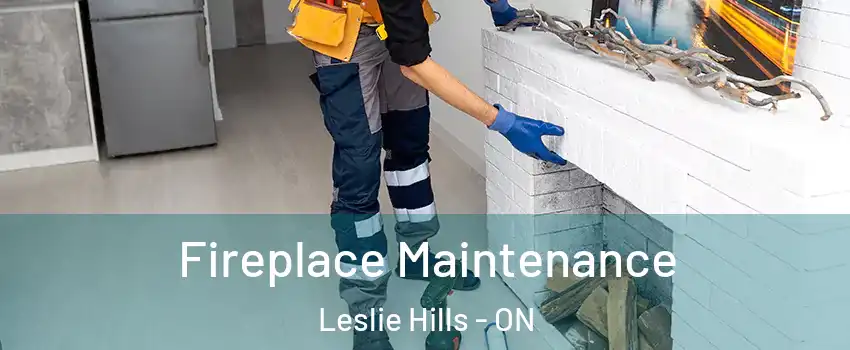 Fireplace Maintenance Leslie Hills - ON