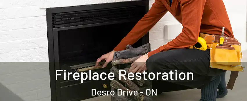  Fireplace Restoration Desro Drive - ON