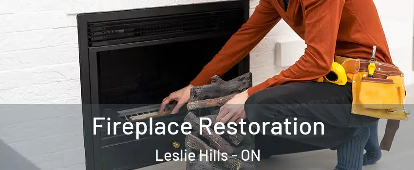 Fireplace Restoration Leslie Hills - ON