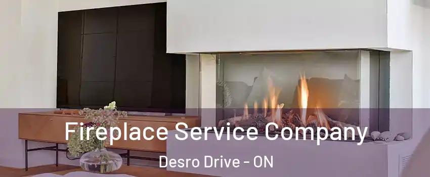  Fireplace Service Company Desro Drive - ON