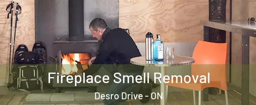 Fireplace Smell Removal Desro Drive - ON