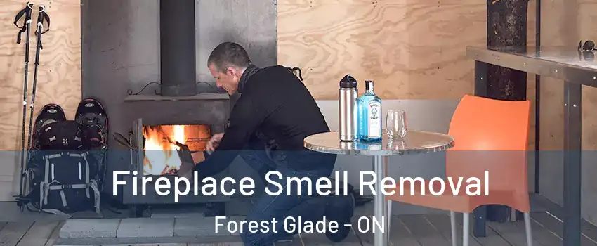  Fireplace Smell Removal Forest Glade - ON