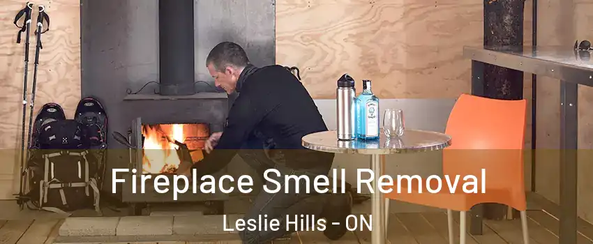 Fireplace Smell Removal Leslie Hills - ON