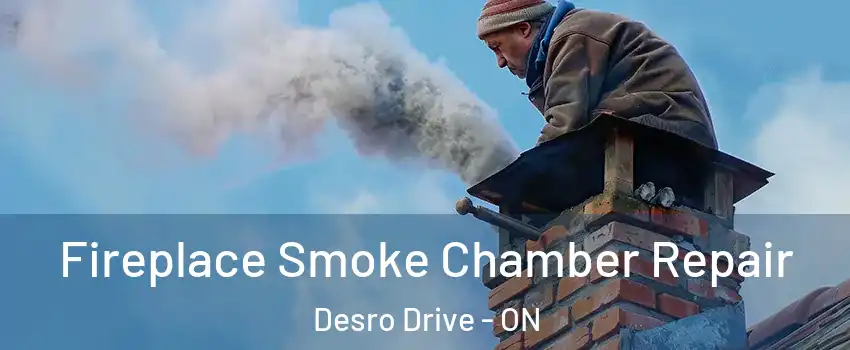  Fireplace Smoke Chamber Repair Desro Drive - ON
