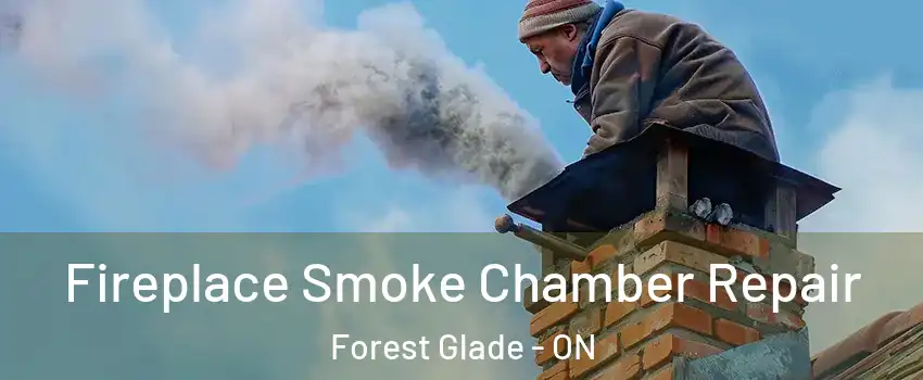  Fireplace Smoke Chamber Repair Forest Glade - ON