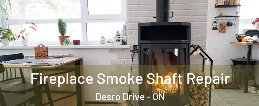  Fireplace Smoke Shaft Repair Desro Drive - ON