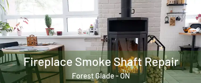  Fireplace Smoke Shaft Repair Forest Glade - ON