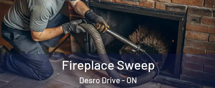  Fireplace Sweep Desro Drive - ON