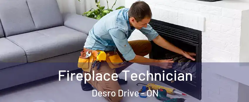  Fireplace Technician Desro Drive - ON