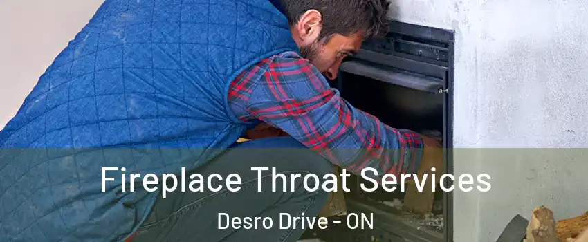  Fireplace Throat Services Desro Drive - ON