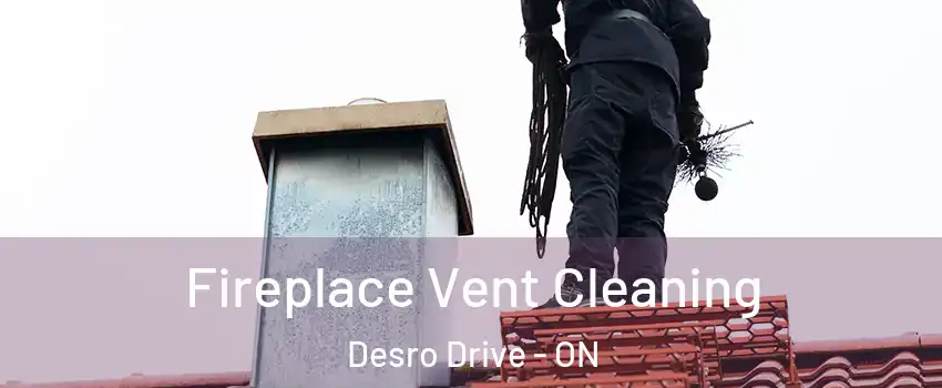  Fireplace Vent Cleaning Desro Drive - ON