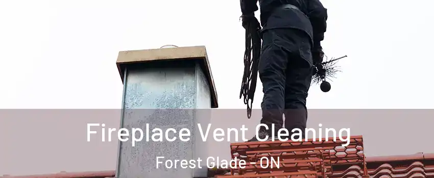  Fireplace Vent Cleaning Forest Glade - ON