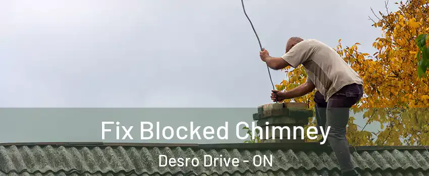 Fix Blocked Chimney Desro Drive - ON