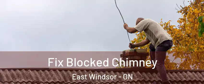 Fix Blocked Chimney East Windsor - ON