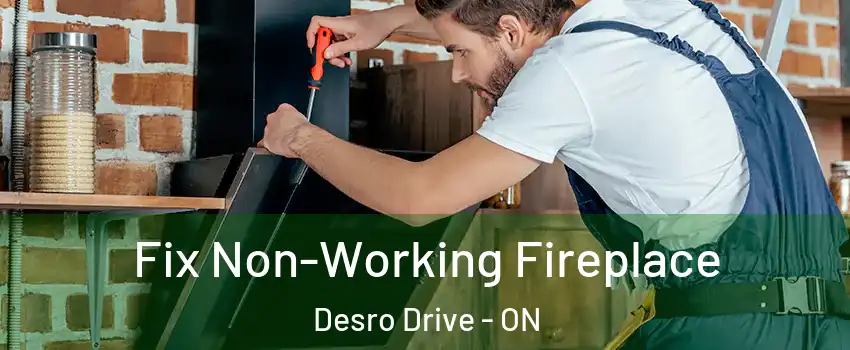  Fix Non-Working Fireplace Desro Drive - ON