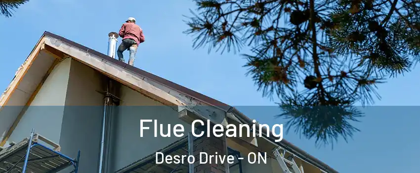  Flue Cleaning Desro Drive - ON