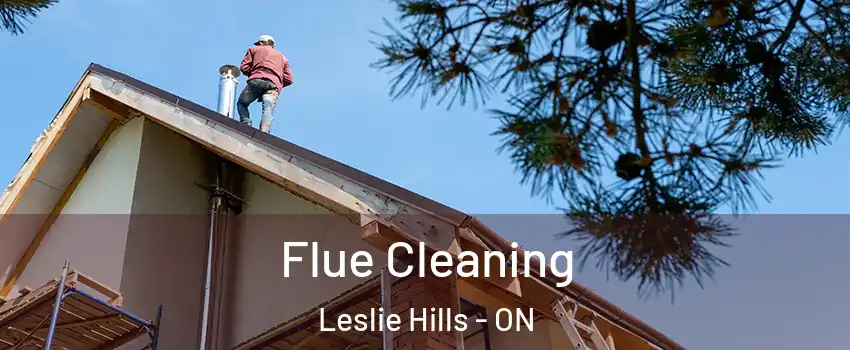 Flue Cleaning Leslie Hills - ON