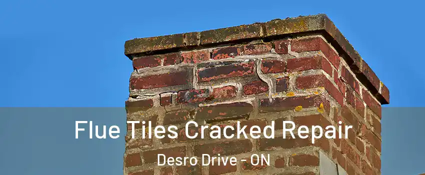 Flue Tiles Cracked Repair Desro Drive - ON