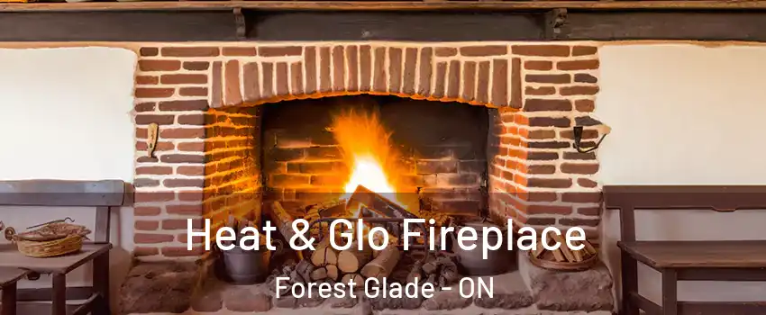 Heat & Glo Fireplace Forest Glade - ON