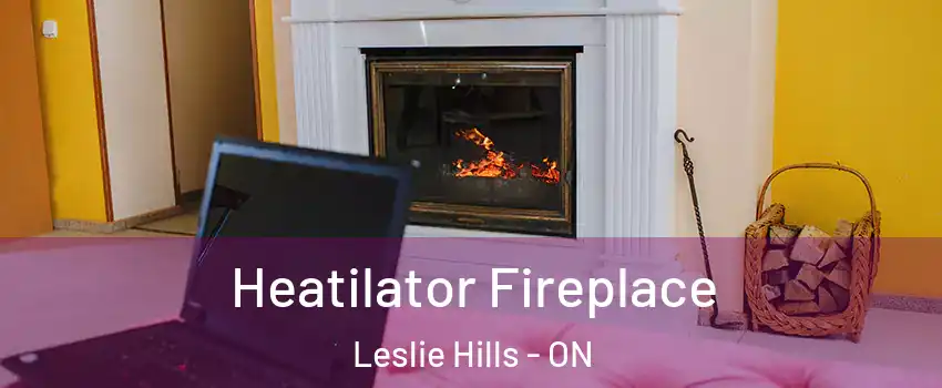  Heatilator Fireplace Leslie Hills - ON