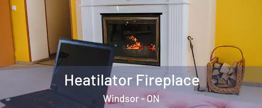  Heatilator Fireplace Windsor - ON