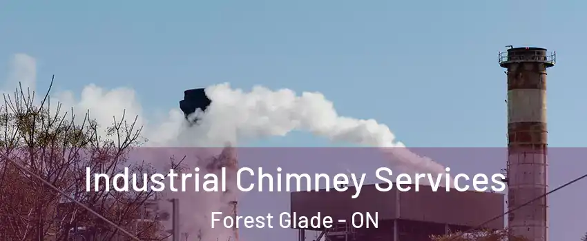  Industrial Chimney Services Forest Glade - ON
