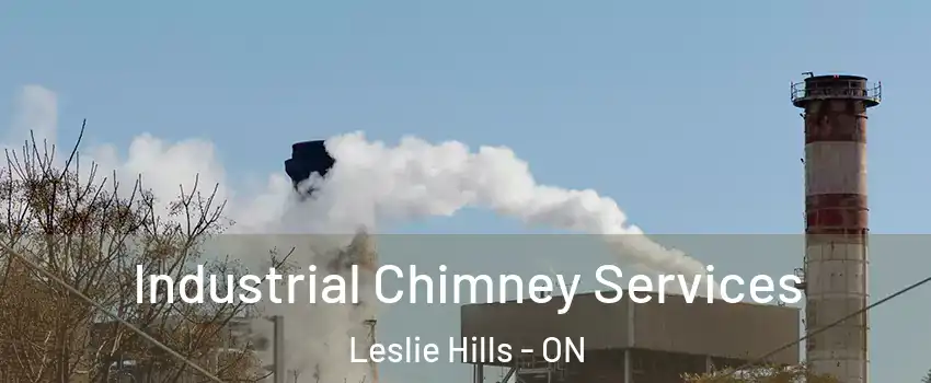  Industrial Chimney Services Leslie Hills - ON