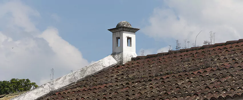 Wind-Resistant Chimney Caps Installation and Repair Services in Windsor, Ontario