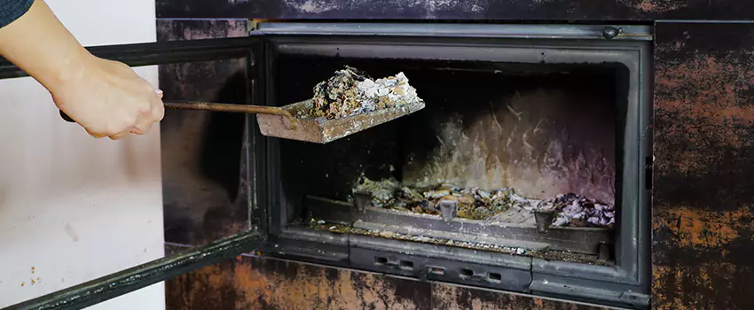 Wood Burning Chimney Odor Removal in Windsor, Ontario