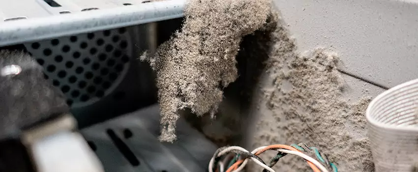 Clogged Dryer Vent Lint Cleaning in Windsor, Ontario