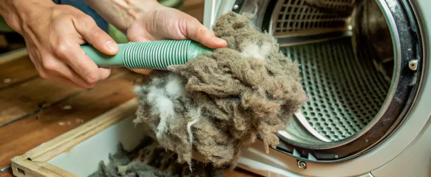 Best Dryer Lint Removal Company in Windsor, Ontario