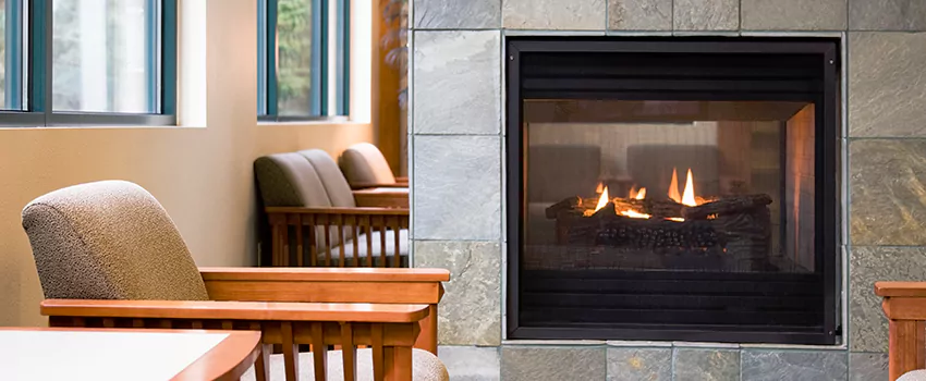 Smoky Effect Electric Fireplace Logs in Windsor, Ontario