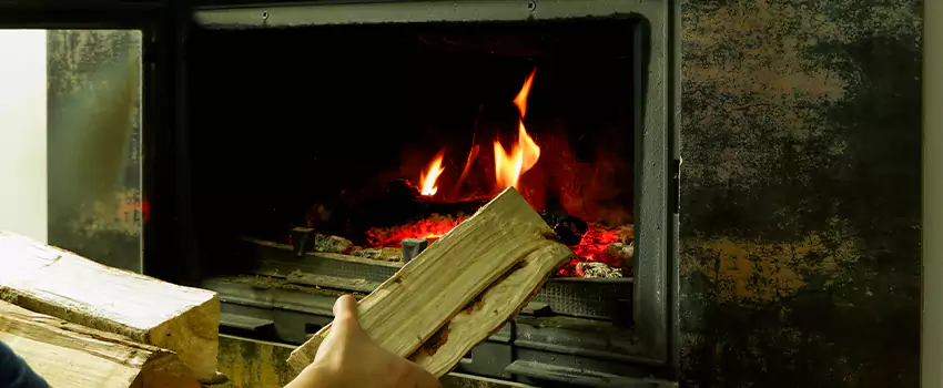 Wood-Burning Fireplace Smell Removal Services in Windsor, Ontario