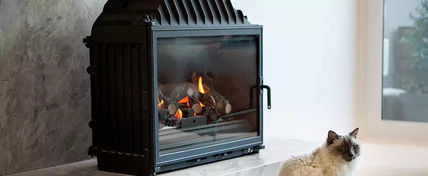 Fireplace Damaged Damper Frame Repair Services in Windsor, Ontario