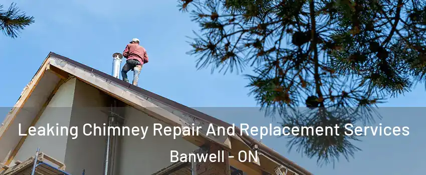 Leaking Chimney Repair And Replacement Services Banwell - ON