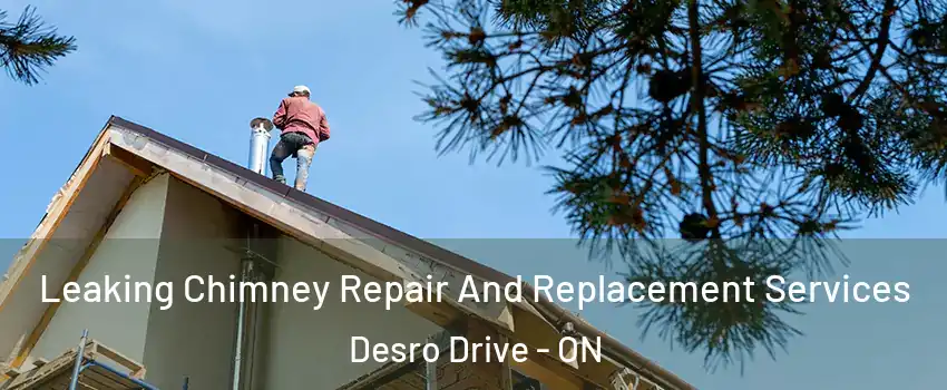Leaking Chimney Repair And Replacement Services Desro Drive - ON