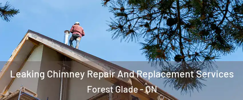 Leaking Chimney Repair And Replacement Services Forest Glade - ON