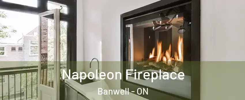  Napoleon Fireplace Banwell - ON