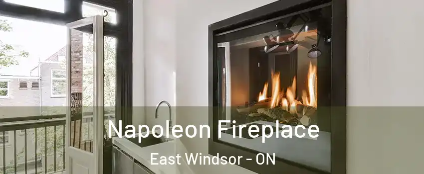  Napoleon Fireplace East Windsor - ON