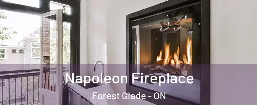  Napoleon Fireplace Forest Glade - ON