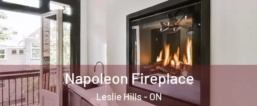  Napoleon Fireplace Leslie Hills - ON