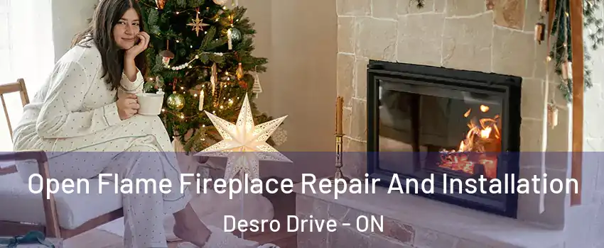  Open Flame Fireplace Repair And Installation Desro Drive - ON