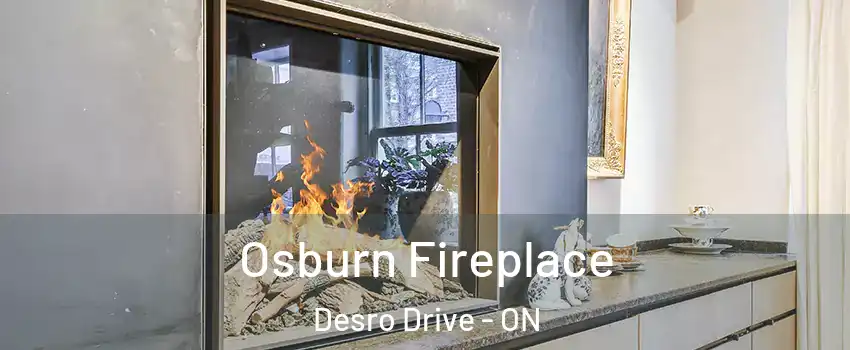  Osburn Fireplace Desro Drive - ON