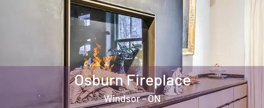  Osburn Fireplace Windsor - ON