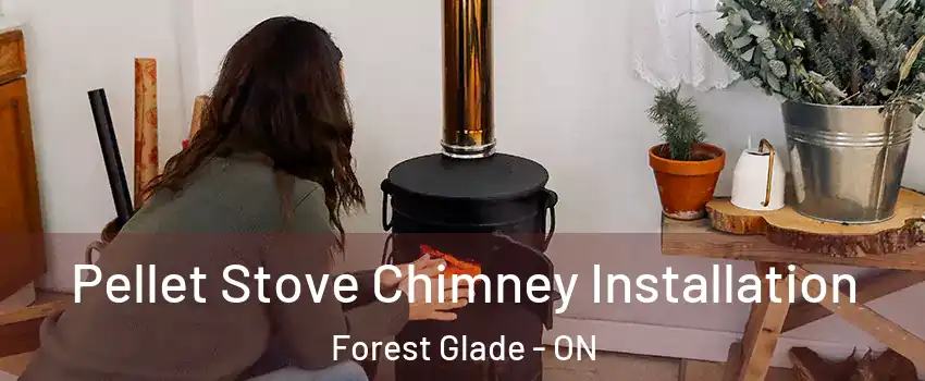 Pellet Stove Chimney Installation Forest Glade - ON
