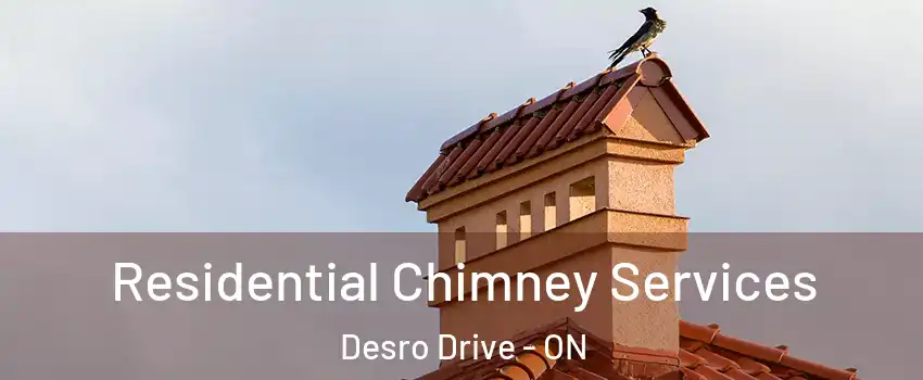  Residential Chimney Services Desro Drive - ON