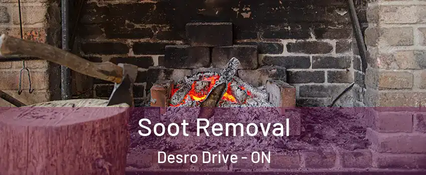  Soot Removal Desro Drive - ON