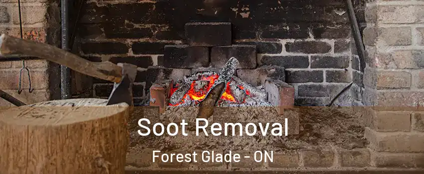  Soot Removal Forest Glade - ON