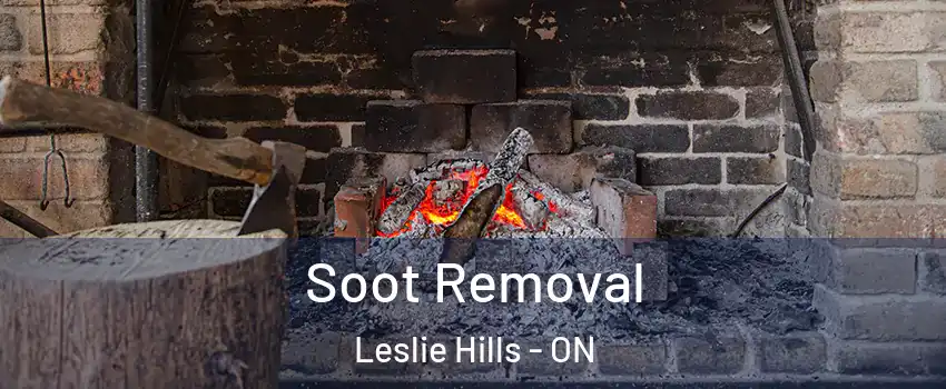  Soot Removal Leslie Hills - ON