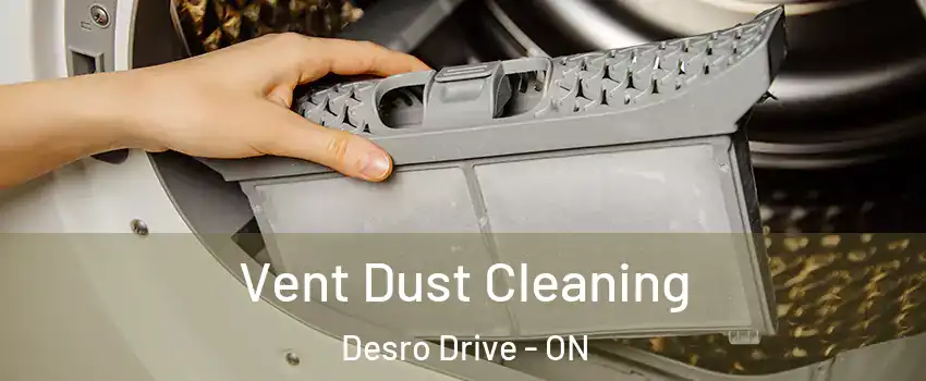 Vent Dust Cleaning Desro Drive - ON